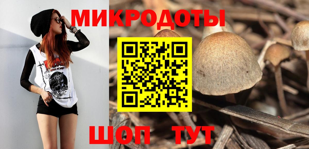 Курчатов  Галлюциногенные грибы Cubensis  Вход с VPN 